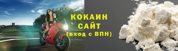 ГАЛЛЮЦИНОГЕННЫЕ ГРИБЫ Абаза