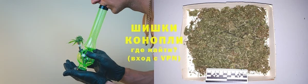 ГАЛЛЮЦИНОГЕННЫЕ ГРИБЫ Абаза