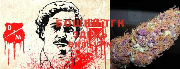 ГАЛЛЮЦИНОГЕННЫЕ ГРИБЫ Абаза