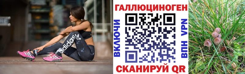 Псилоцибиновые грибы Psilocybe  Серафимович 